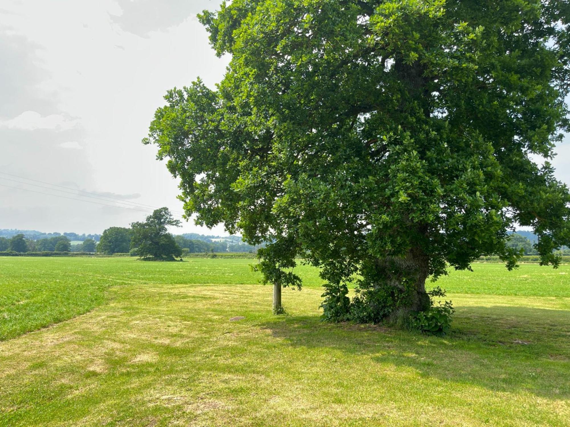 Pass The Keys Hare Cottage Wonderful Views And Parking Moreton-in-Marsh Exterior foto